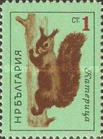 Eurasian Red Squirrel (Sciurus vulgaris)