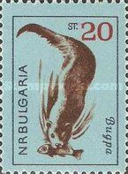 Eurasian Otter (Lutra lutra)