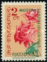 Roses overprinted