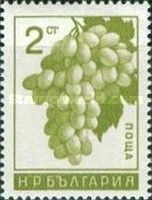 Grapes (Vitis vinifera)