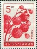 Strawberries (Fragaria ananassa)