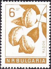 Walnuts (Juglans regia)