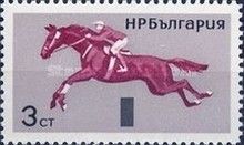 Jumping Competition