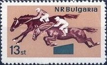 Steeplechase
