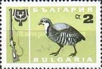 Chukar Partridge (Alectoris chukar)