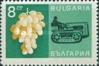Grape