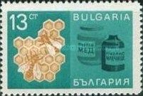Honey Bees (Apis mellifera) before Honeycomb, Beekeeping Pro