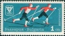 Cross-country Skiing