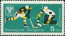 Ice Hockey