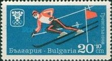 Alpine Skiing