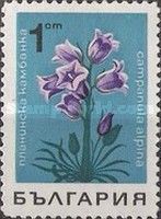 Alpine Bellflower