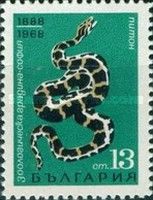 Indian Rock Python (Python molurus)