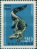Crocodile (Crocodylus sp.)
