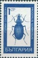 Huge Violet Ground Beetle (Carabus scabrosus)