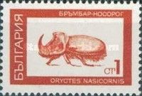 European Rhinoceros Beetle (Oryctes nasicornis)