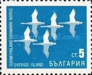 Swans