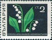 Lily of the Valley (Convallaria majalis)