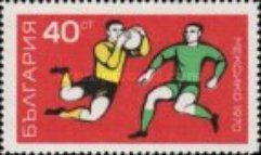 Soccer Game Scene