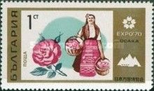 Female Bulgarian, Rose