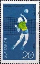Game Scene at the Net