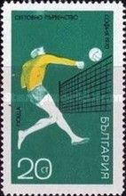 Game Scene at the Net