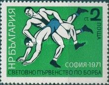 Wrestling Scene