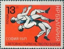 Wrestling Scene