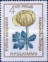 Trollius europaeus