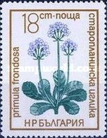 Primula frondosa
