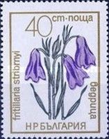 Fritillaria stribrnyi