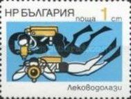 Diver