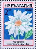 Marguerite