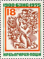 Female Farmer