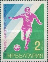 Soccer Player