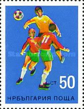 Soccer Game Scene