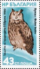 Eurasian Eagle-Owl (Bubo bubo)