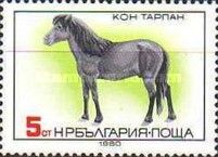 Tarpan (Equus ferus ferus)