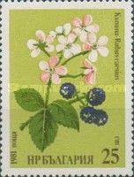Blackberry (Rubus caesius)