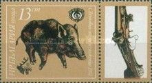 Wild Boar (Sus scrofa)