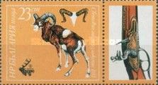Mouflon (Ovis orientalis)