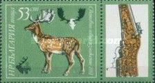 Common Fallow Deer (Dama dama)