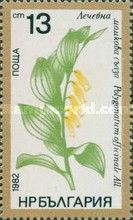 Angular Solomon's Seal (Polygonatum officinale)