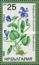 Wood Violet (Viola odorata)