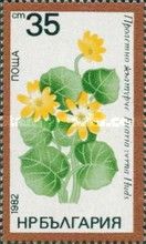 Lesser Celandine or Fig Buttercup (Ficaria verna)