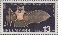Greater Horseshoe Bat (Rhinolophus ferrumequinum)