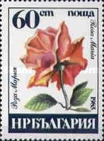 Rosa Maria