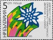 Edelweiss