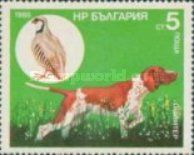 Pointer, Chukar Partridge (Alectoris chukar)
