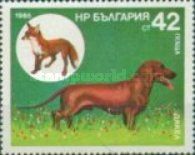 Dachshund, Red Fox (Vulpes vulpes)