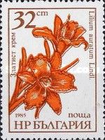 Lilium auratum is called Gold Band Lily of Japan